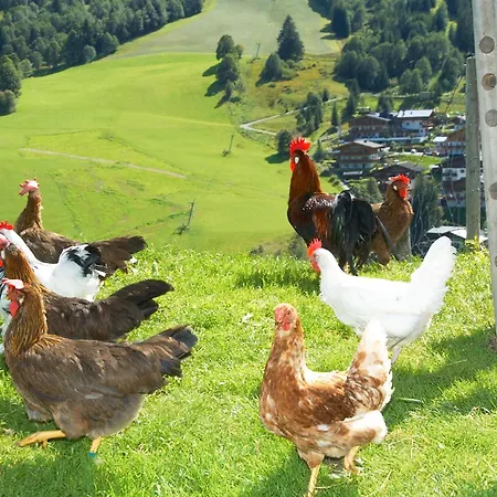 Lägenhetshotell Feriengut Hasenau